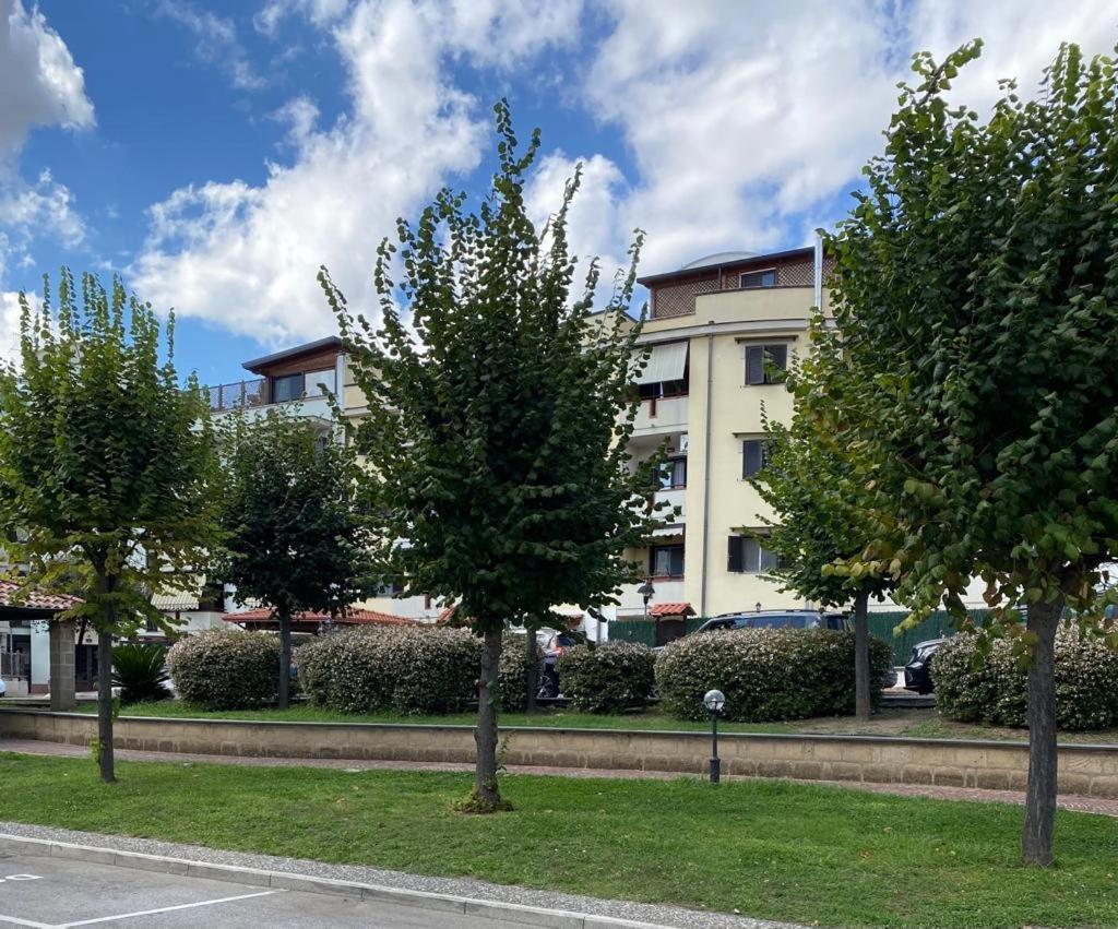 Smart's Luxury Airport Naples